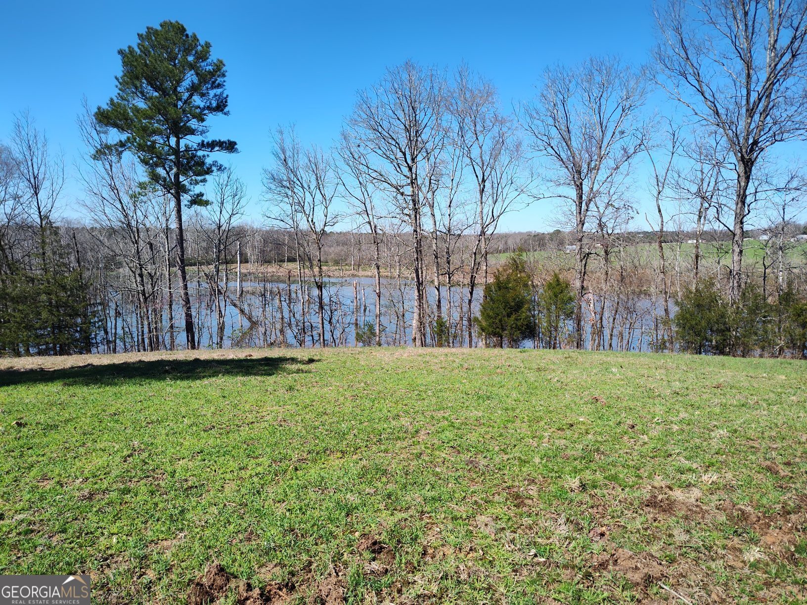 1302 River Road Elberton, GA 30635 - Photo 8 of 11