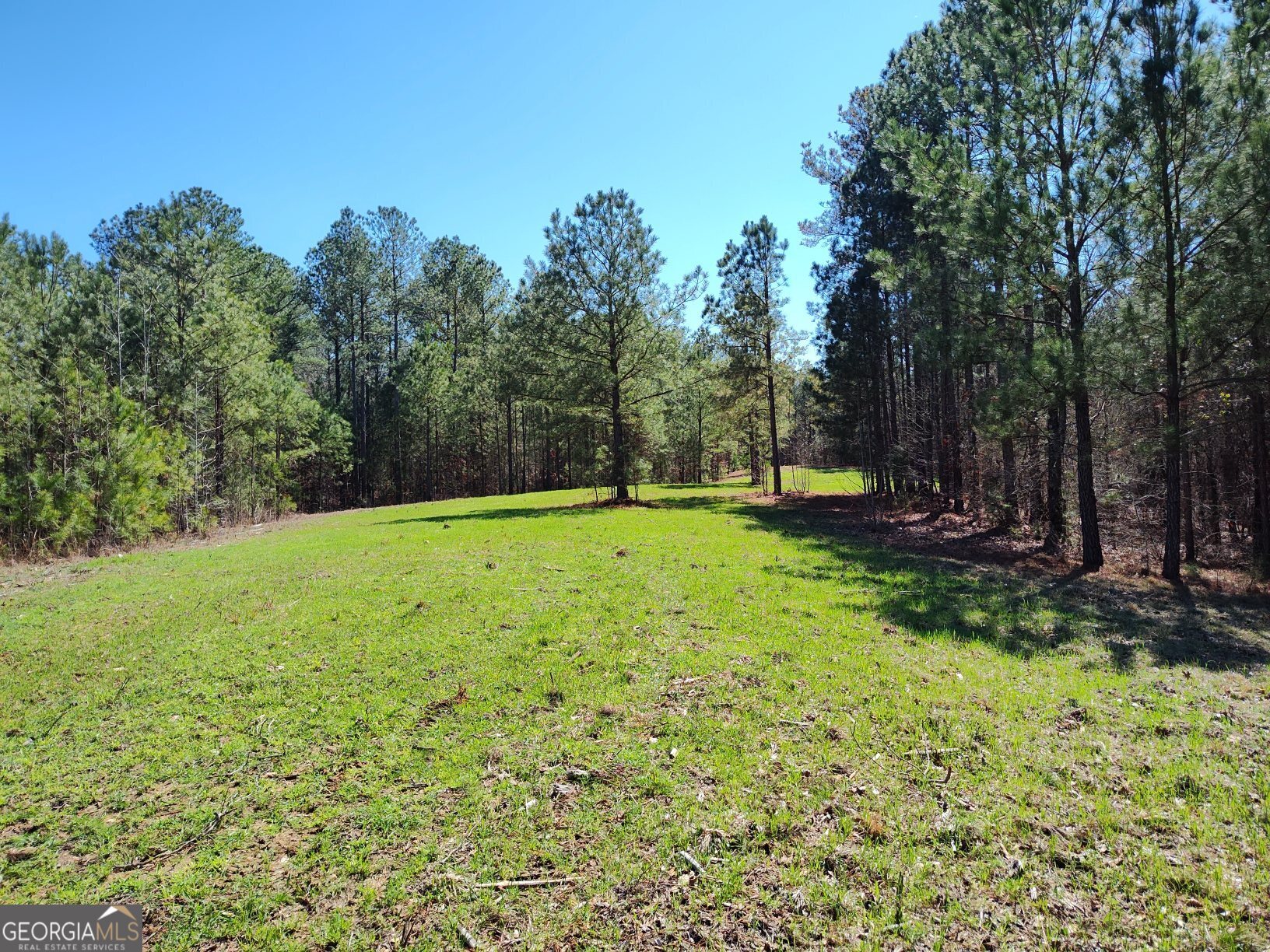 1302 River Road Elberton, GA 30635 - Photo 10 of 11