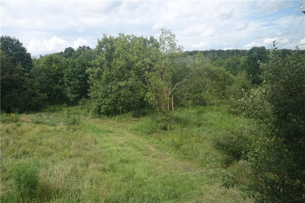 917 New Castle Road Butler, PA 16001 - Photo 22 of 25 27 Cleared and wooded acres
