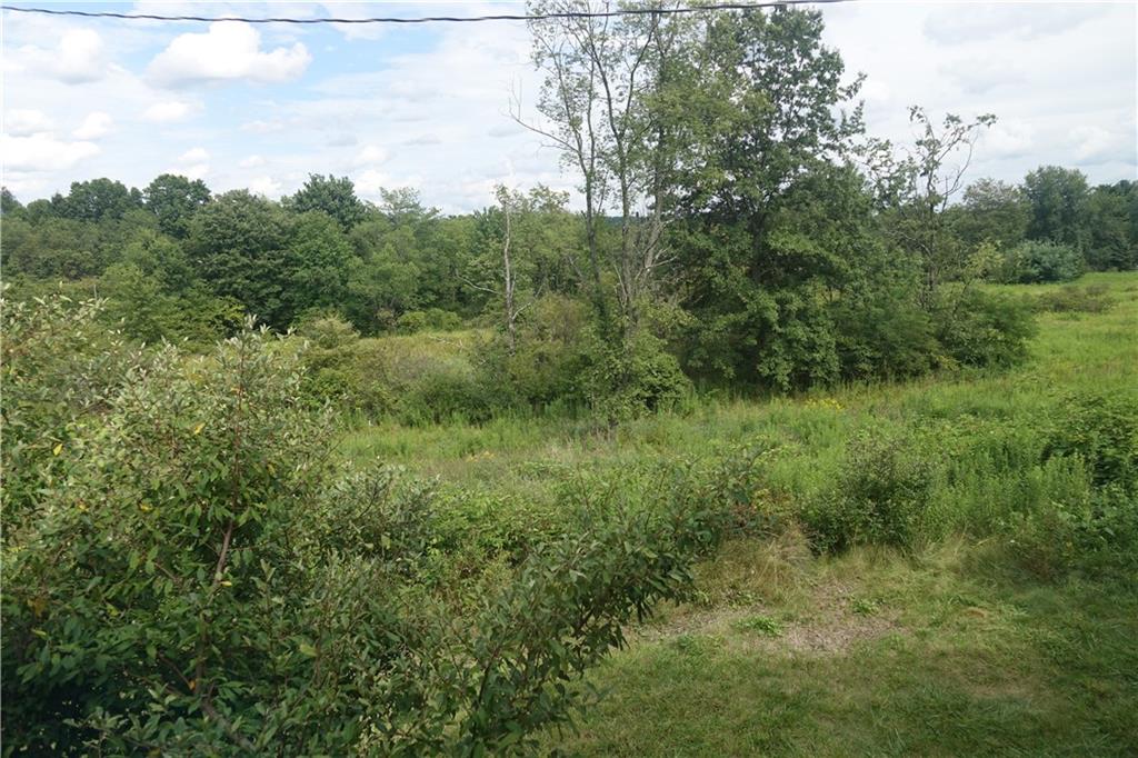 917 New Castle Road Butler, PA 16001 - Photo 23 of 25 27 Cleared and wooded acres