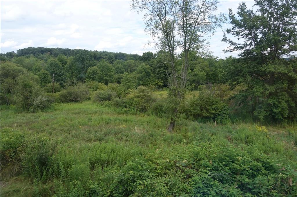 917 New Castle Road Butler, PA 16001 - Photo 24 of 25 27 Cleared and wooded acres
