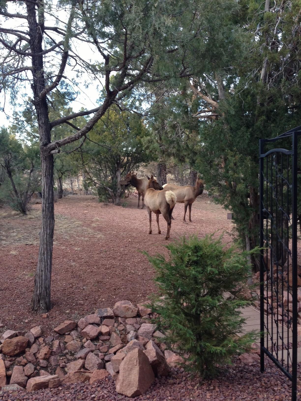 2118 Florence Road Payson, AZ 85541 - Photo 27 of 30 Payson Pines Elk