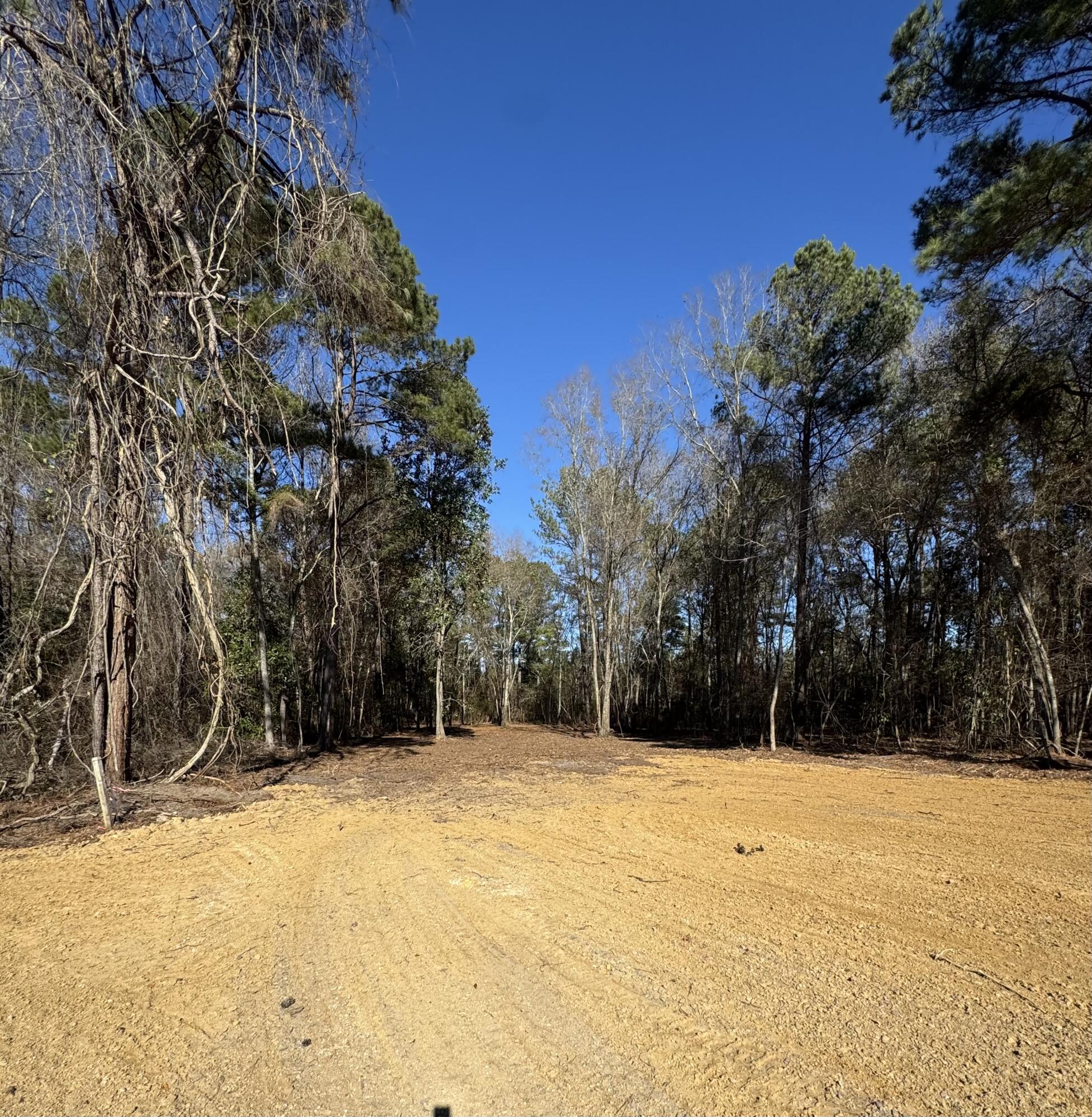 2147 Bloomville Road Manning, SC 29102 - Photo 46 of 46
