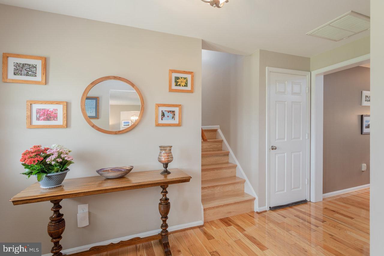 26 Antioch Road Luray, VA 22835 - Photo 5 of 65 Gallery Image 5