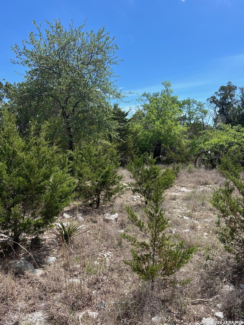 12 Ledgestone Place Boerne, TX 78006 - Photo 3 of 18 a big yard with lots of green space