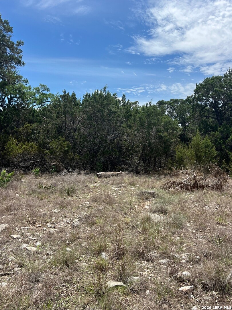 12 Ledgestone Place Boerne, TX 78006 - Photo 4 of 18 a view of a yard