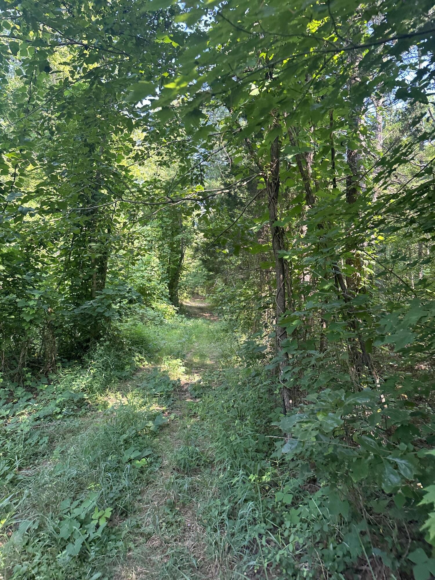 0 Leiderman Road Trenton, GA 30752 - Photo 37 of 50