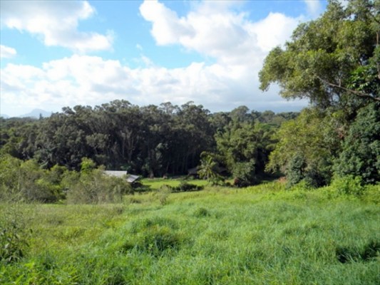 160 A Kipapa Road Kapaa, HI 96746 - Photo 14 of 18 Gallery Image 14