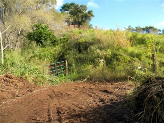 160 A Kipapa Road Kapaa, HI 96746 - Photo 15 of 18 Gallery Image 15