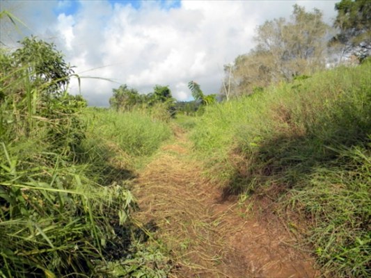 160 A Kipapa Road Kapaa, HI 96746 - Photo 16 of 18 Gallery Image 16