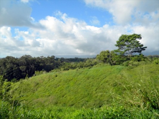 160 A Kipapa Road Kapaa, HI 96746 - Photo 8 of 18 Gallery Image 8