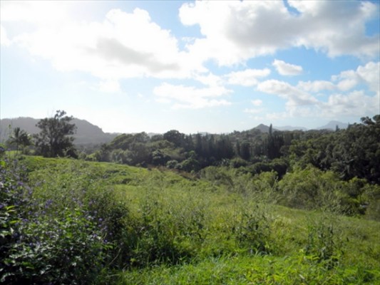 160 A Kipapa Road Kapaa, HI 96746 - Photo 9 of 18 Gallery Image 9