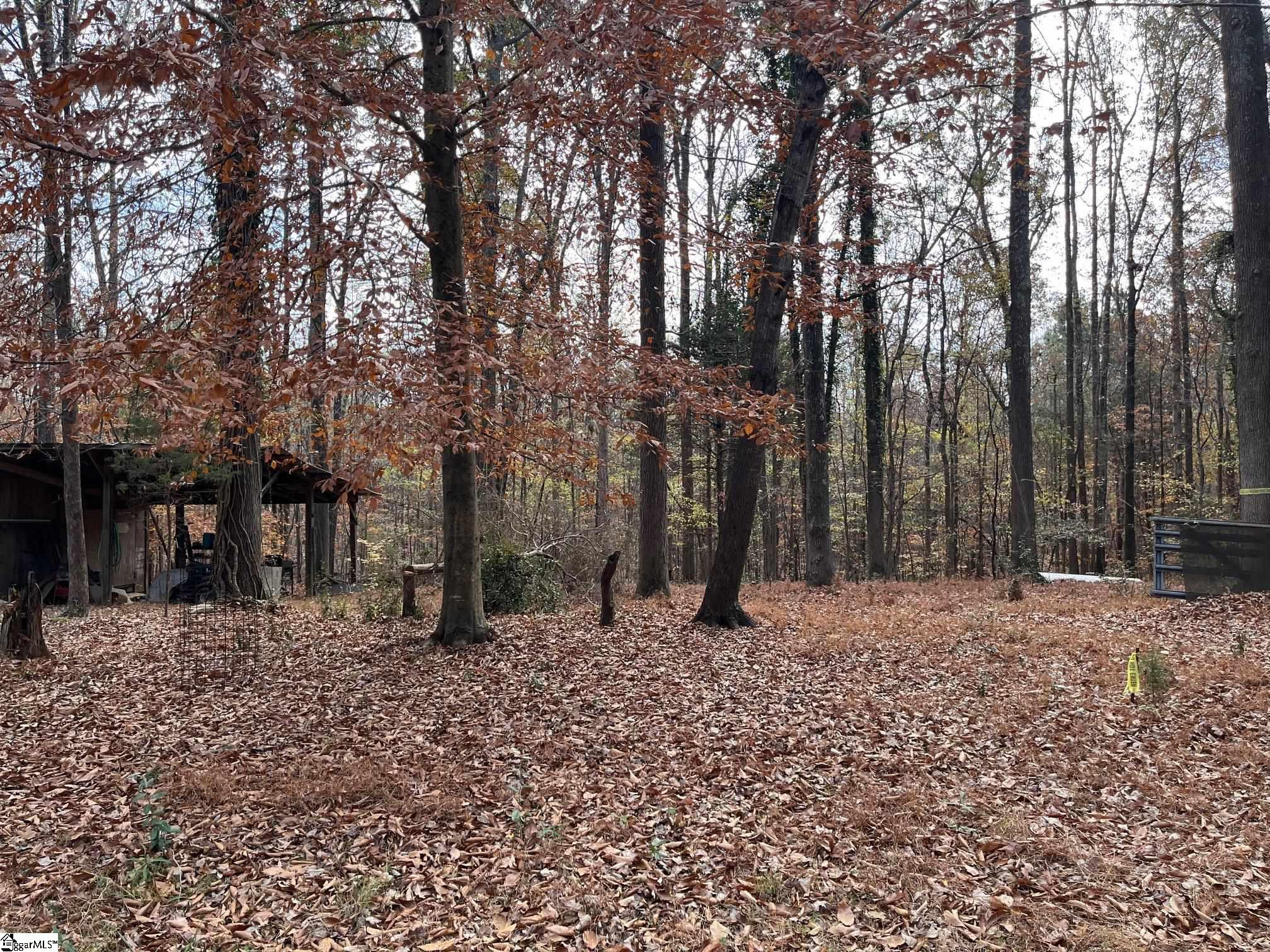 0 Painter Road Spartanburg, SC 29302 - Photo 3 of 6