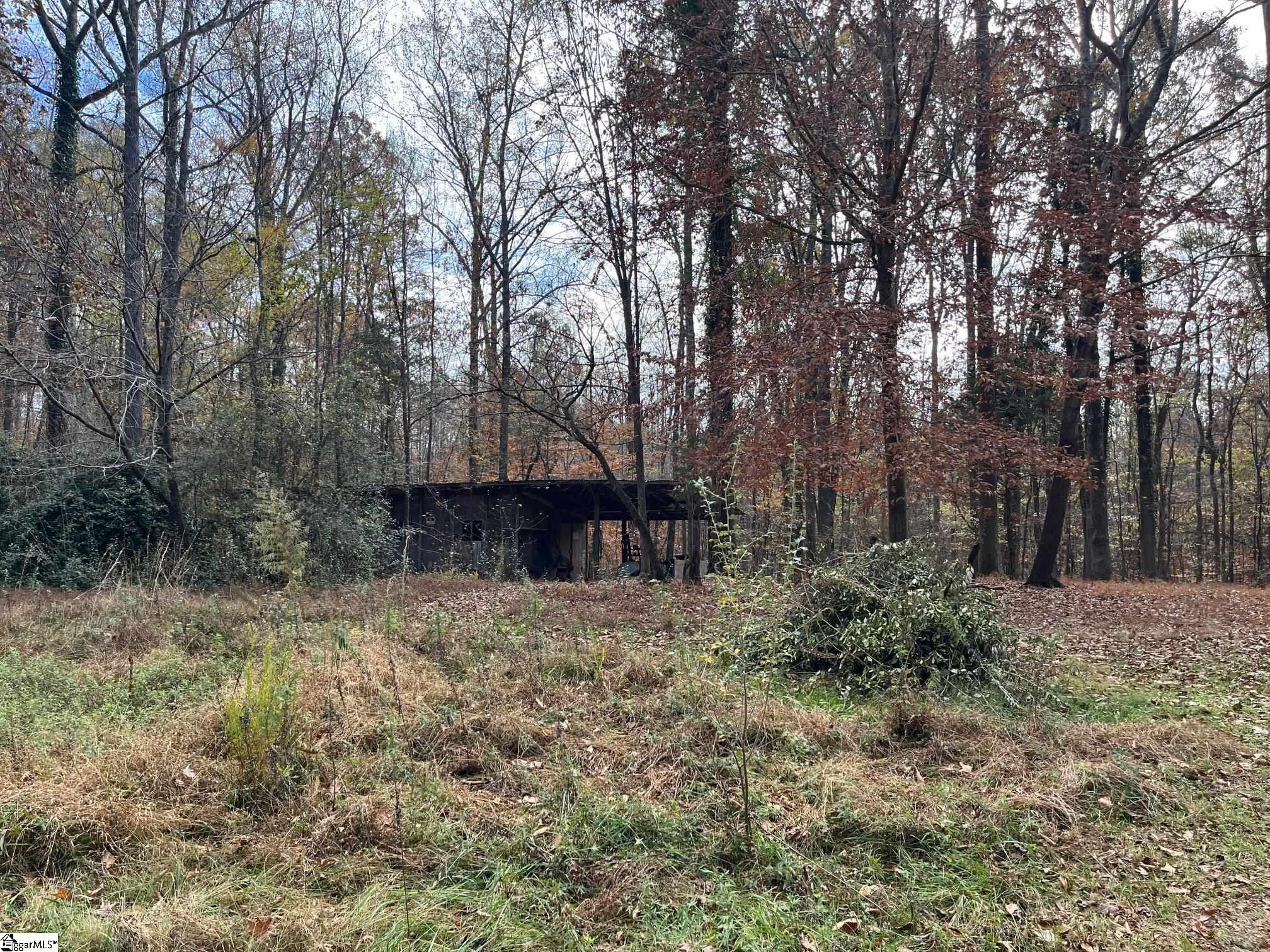 0 Painter Road Spartanburg, SC 29302 - Photo 4 of 6