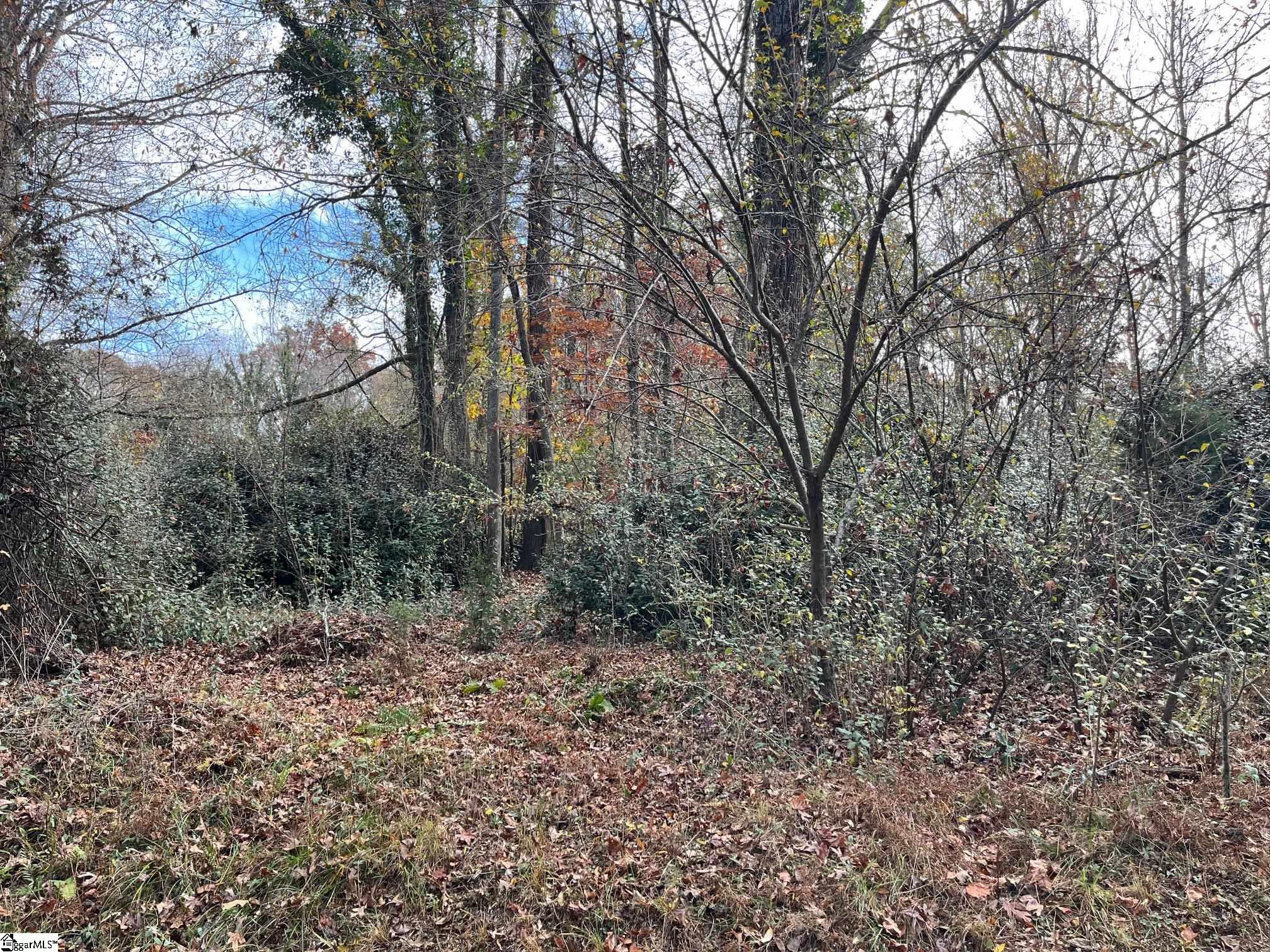 0 Painter Road Spartanburg, SC 29302 - Photo 5 of 6