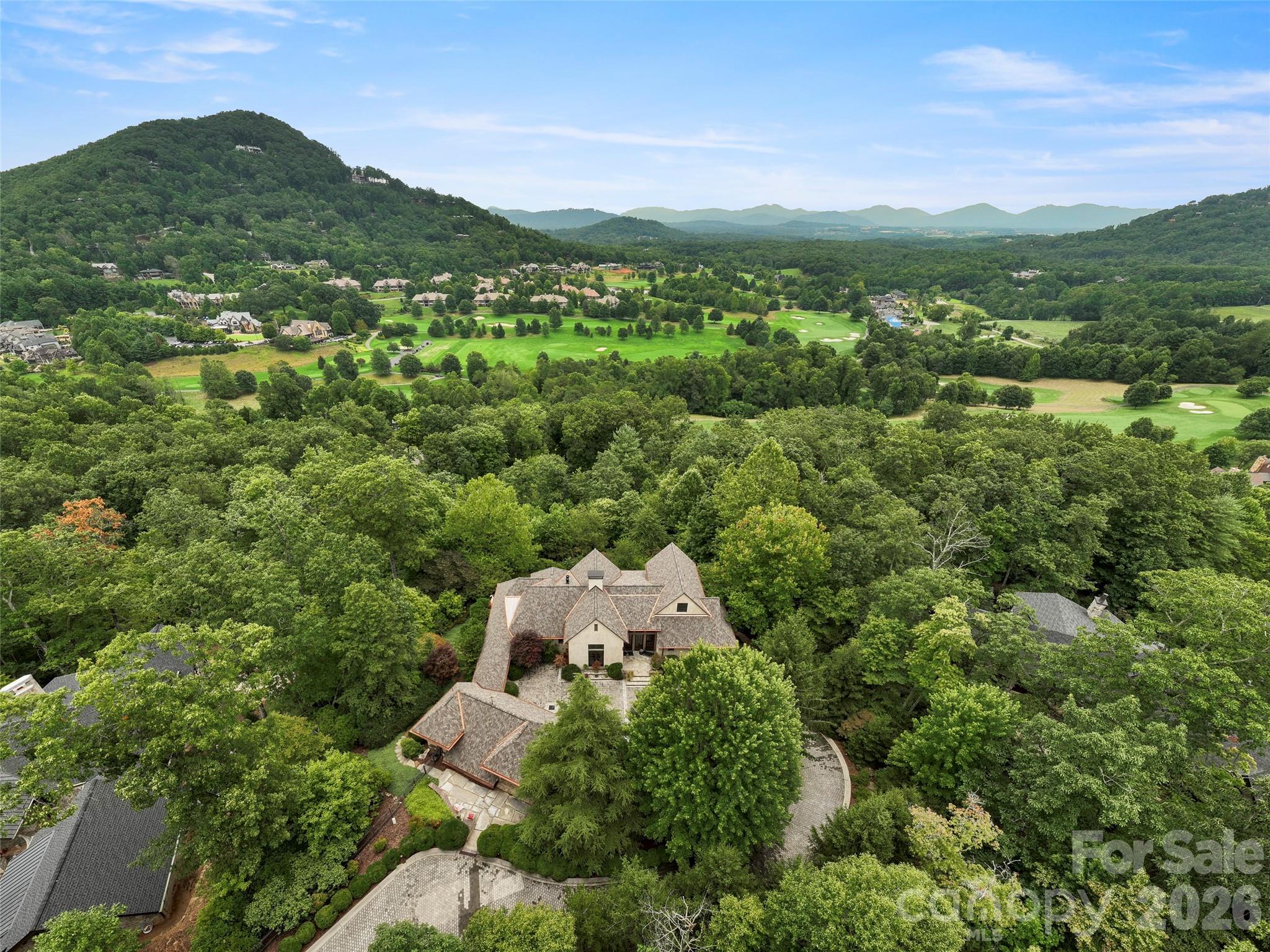 1929 Tree View Trail Arden, NC 28704 - Photo 41 of 48 an aerial view of a house with a yard