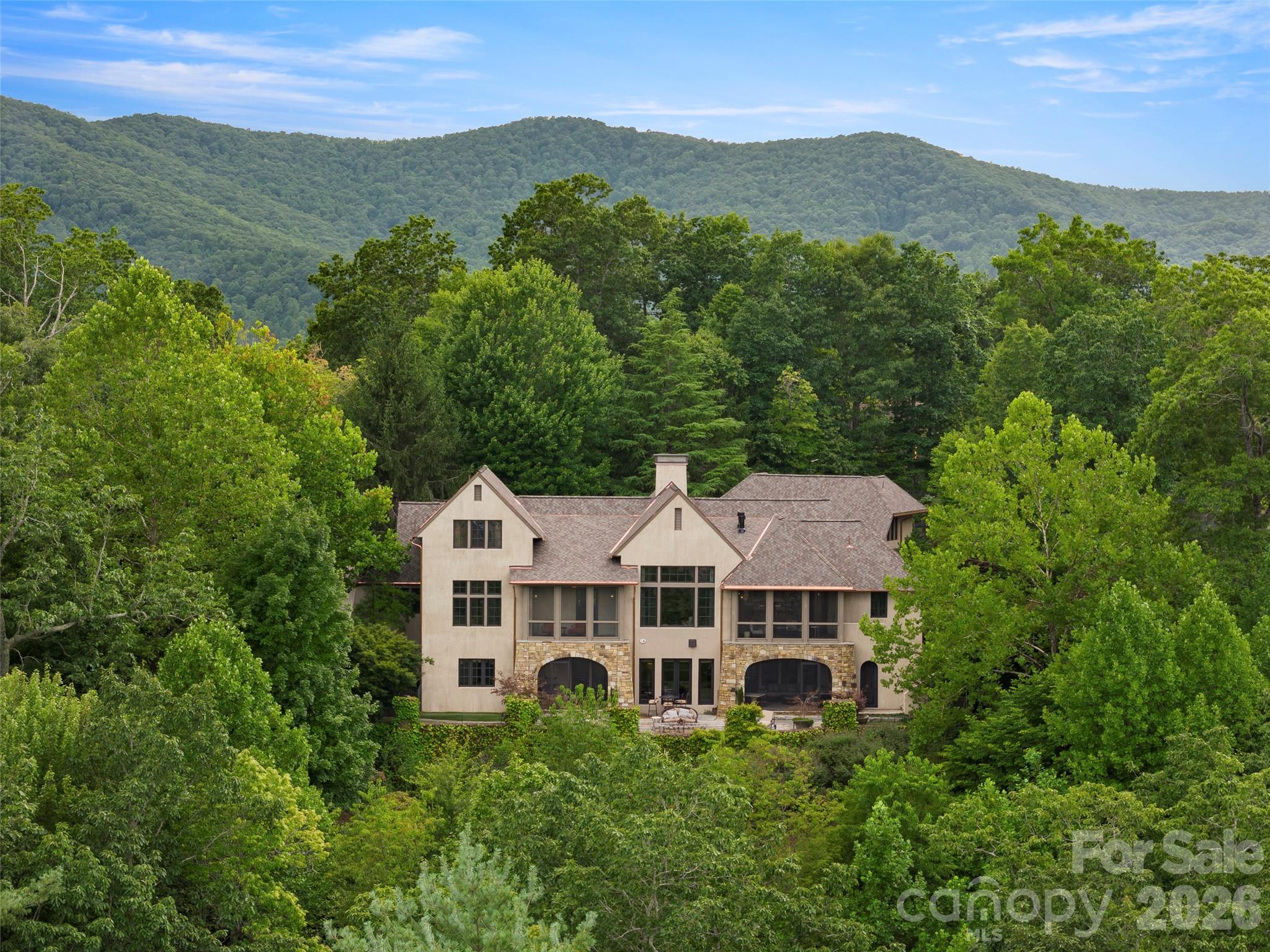 1929 Tree View Trail Arden, NC 28704 - Photo 48 of 48 an aerial view of a house with a mountain in the background