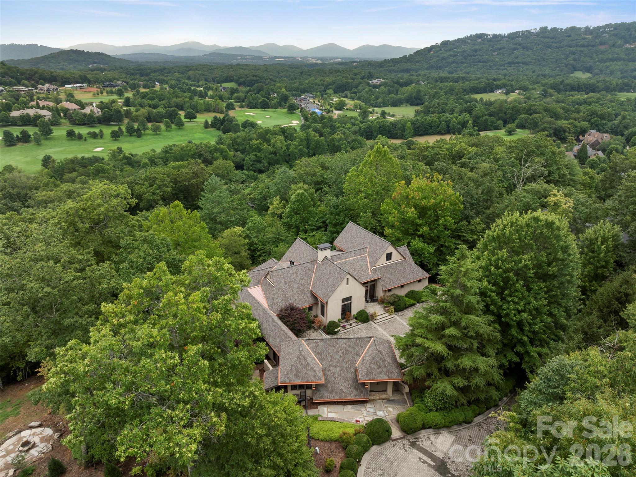 1929 Tree View Trail Arden, NC 28704 - Photo 6 of 48 an aerial view of a house with mountain view