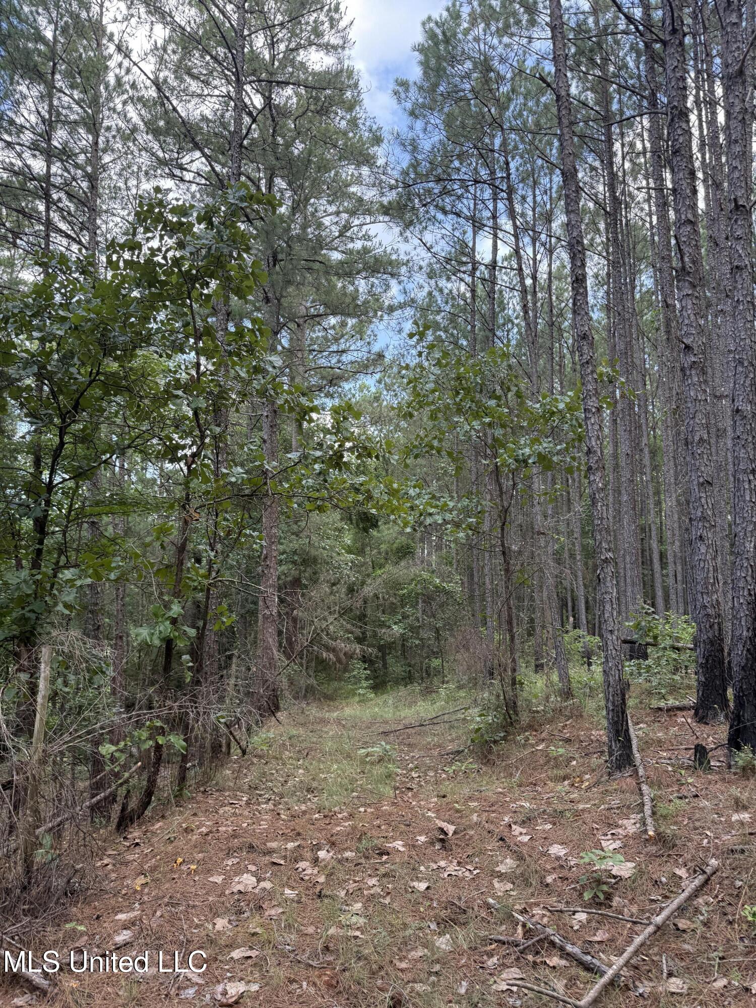 5204 County Road Ethel, MS 39067 - Photo 24 of 37 IMG_5562