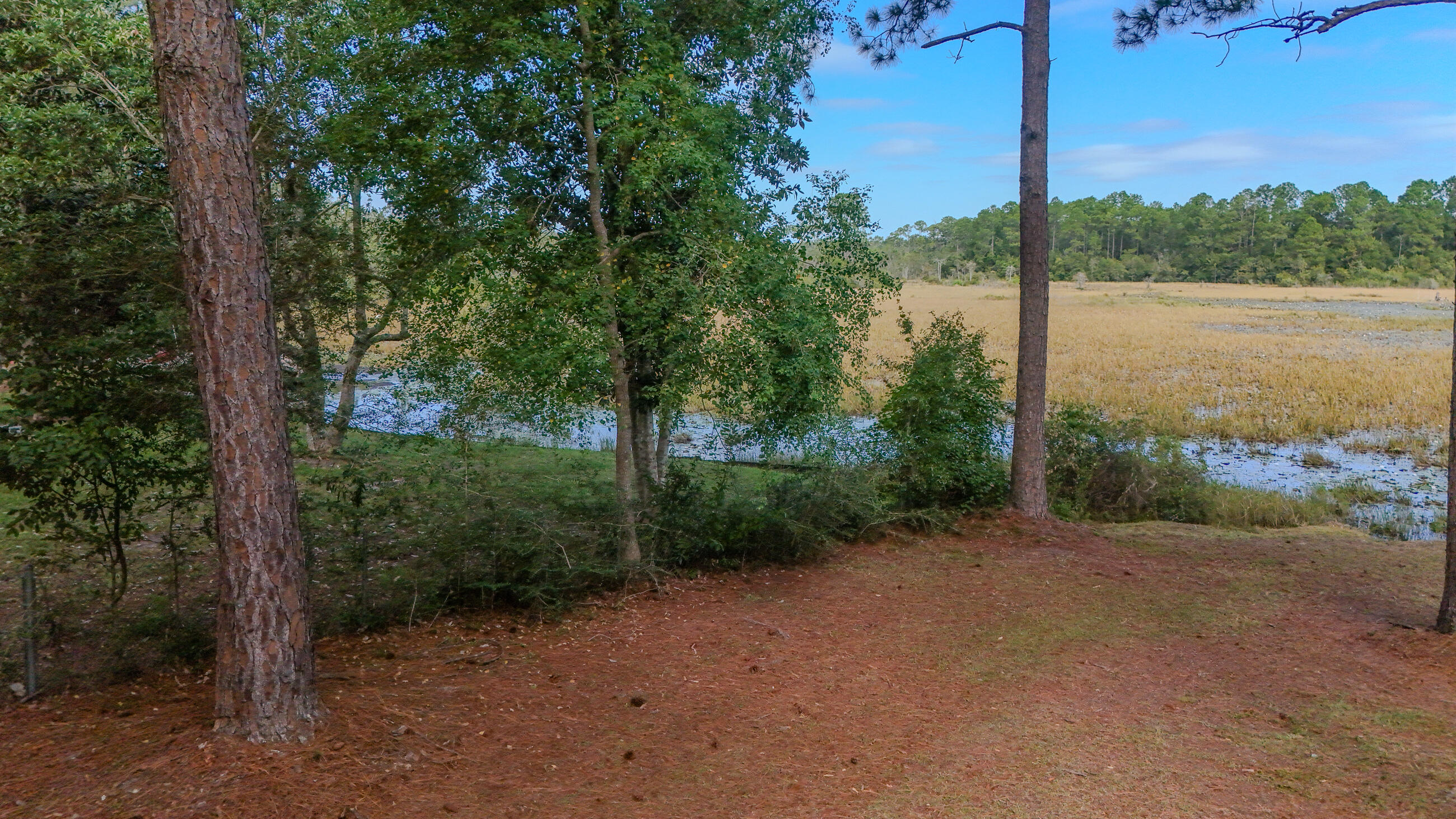 35 Marion Drive DeFuniak Springs, FL 32433 - Photo 34 of 38 a view of a field with a tree