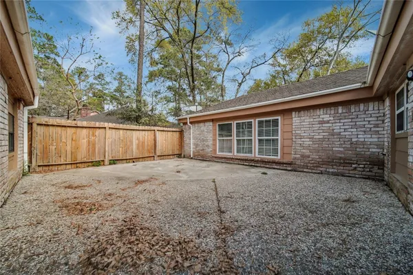 a view of a backyard with a tree