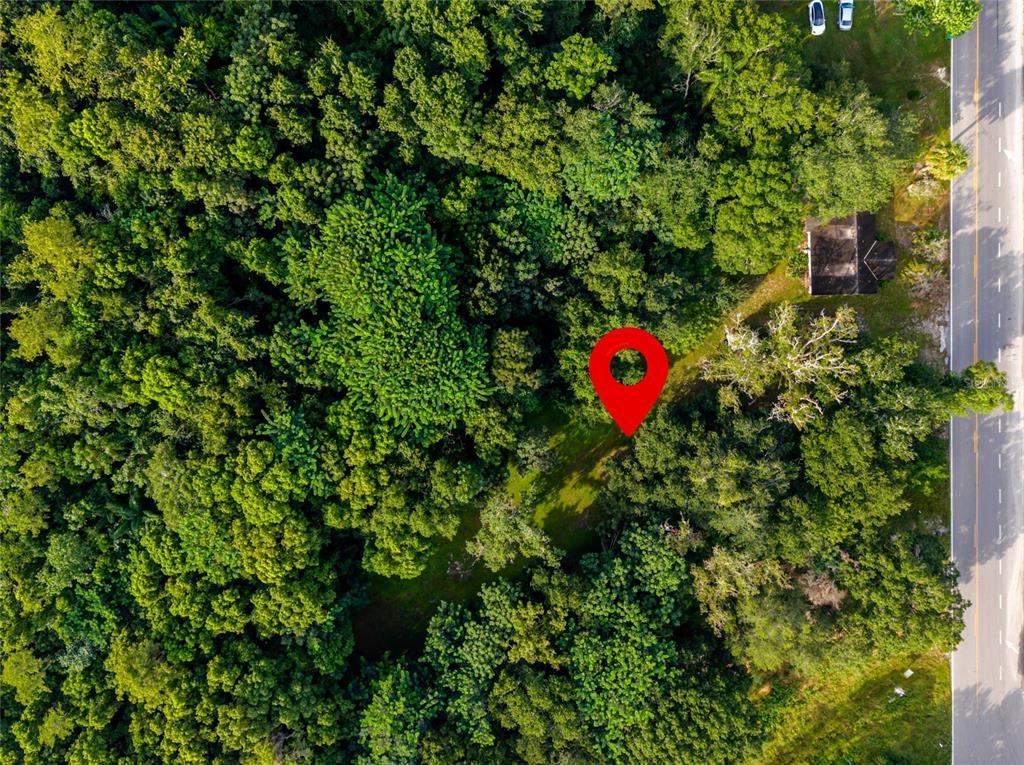 923 Marshall Farms Road Ocoee, FL 34761 - Photo 9 of 20 Gallery Image 9