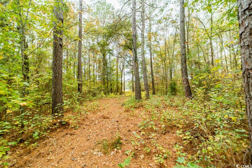 7845 Bay Road Gresham, SC 29546 - Photo 25 of 29