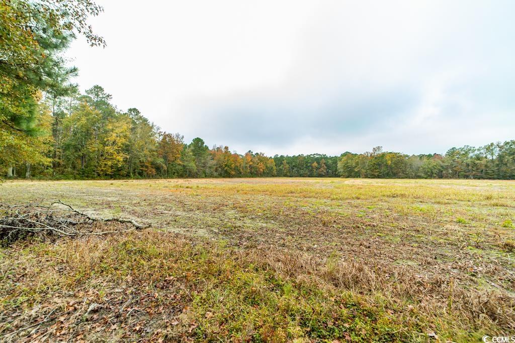 7845 Bay Road Gresham, SC 29546 - Photo 26 of 29