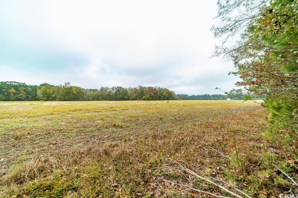 7845 Bay Road Gresham, SC 29546 - Photo 27 of 29