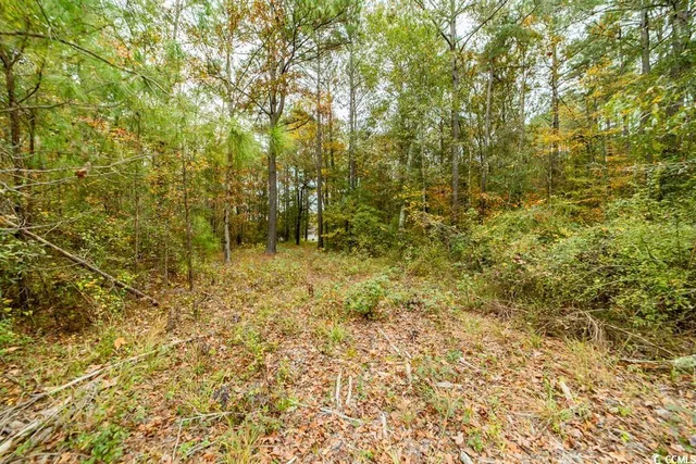 $419,900 | 7845 Bay Road, Gresham, SC 29546