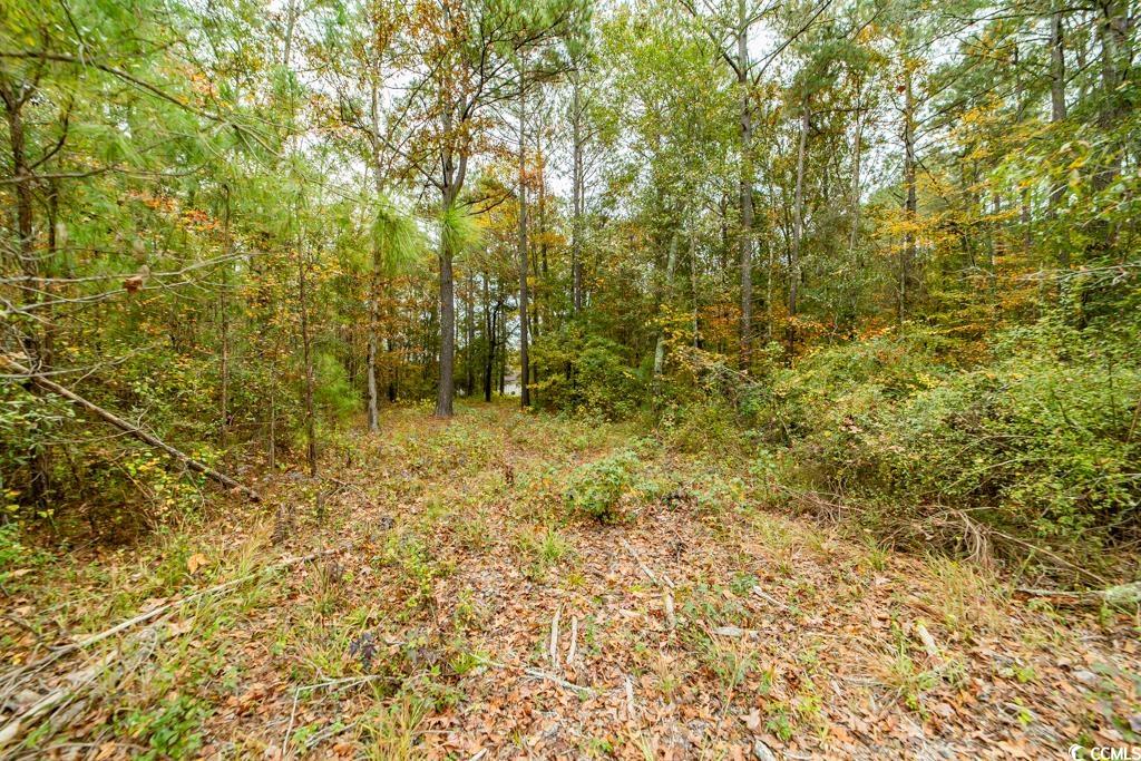 7845 Bay Road Gresham, SC 29546 - Photo 28 of 29