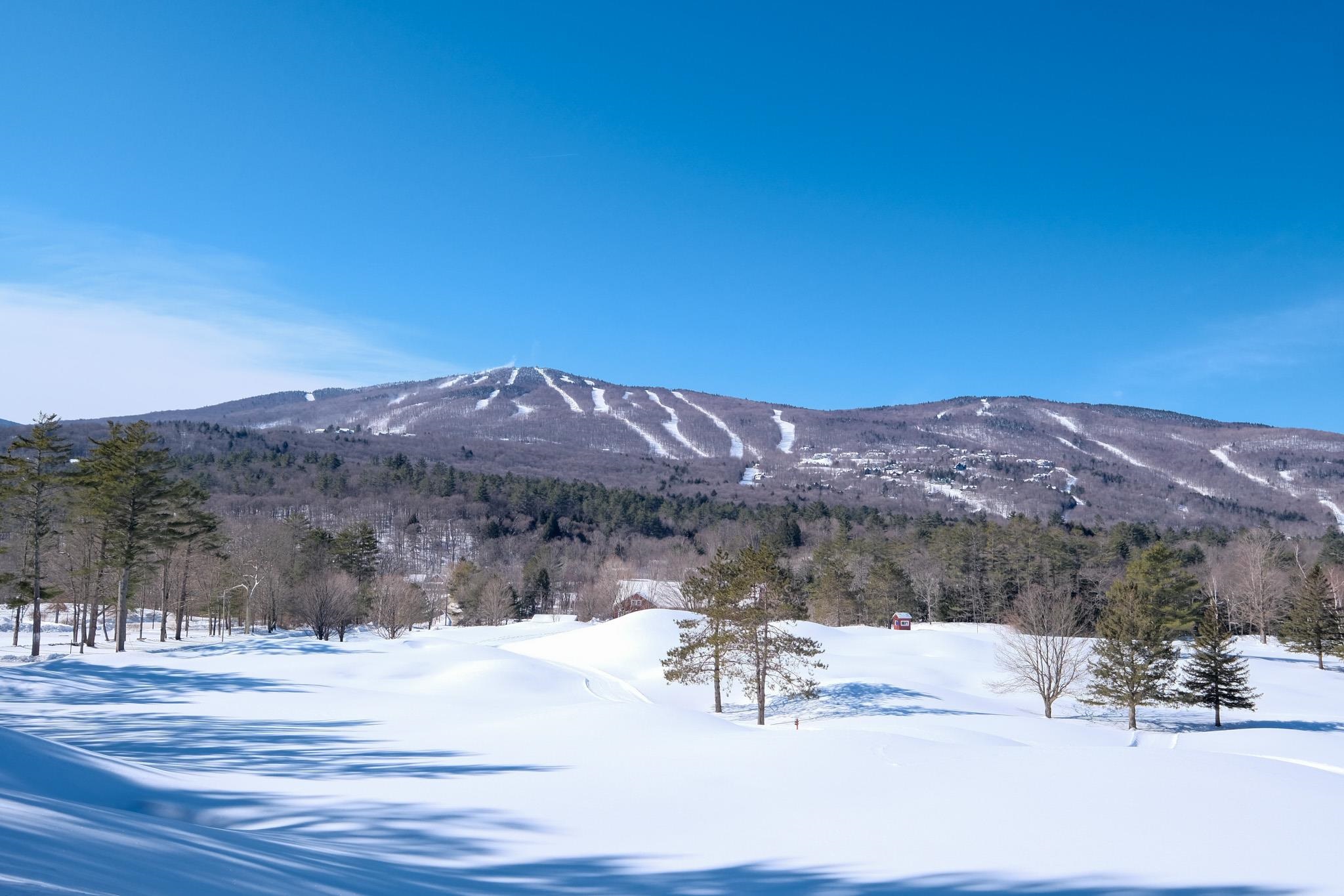 44 Freeman Road, Unit B2 Cavendish, VT 05153 - Photo 50 of 58