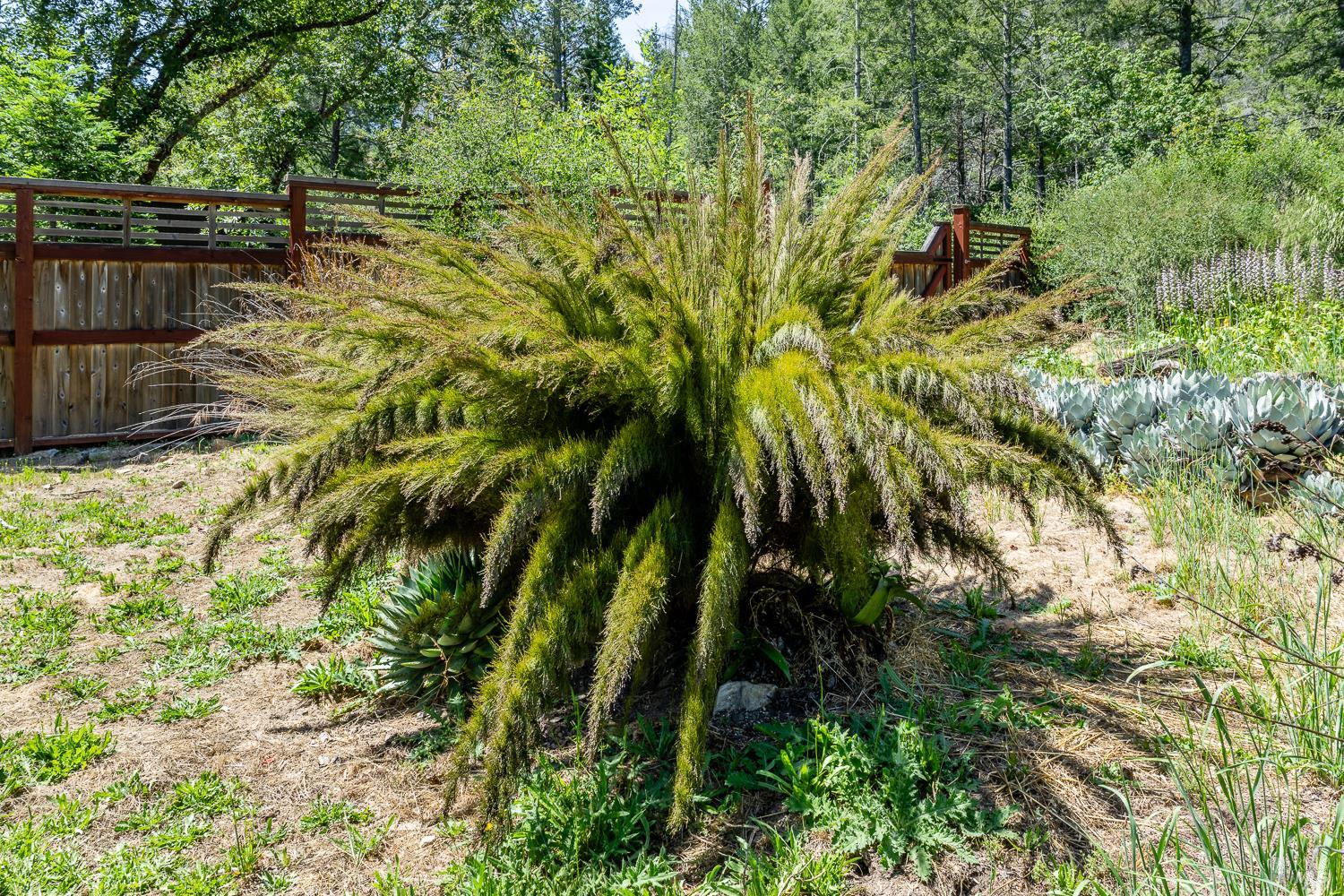 6662 St Helena Road Santa Rosa, CA 95404 - Photo 44 of 51