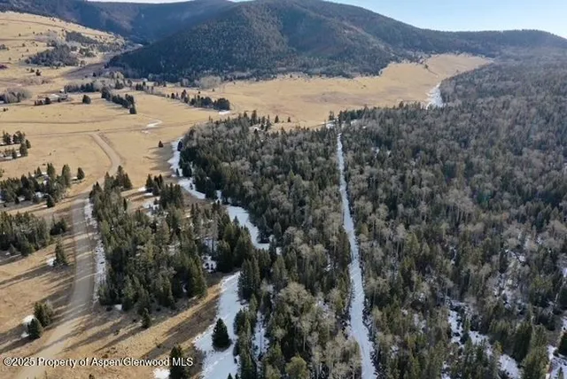 a view of field with trees in background