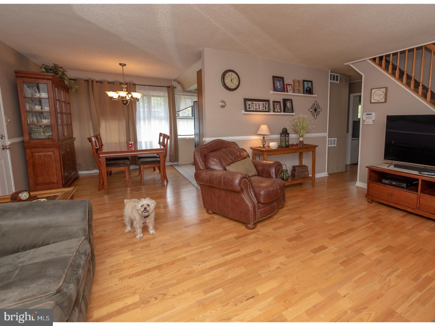 29 Calicobush Road Levittown, PA 19057 - Photo 3 of 25 Living Room