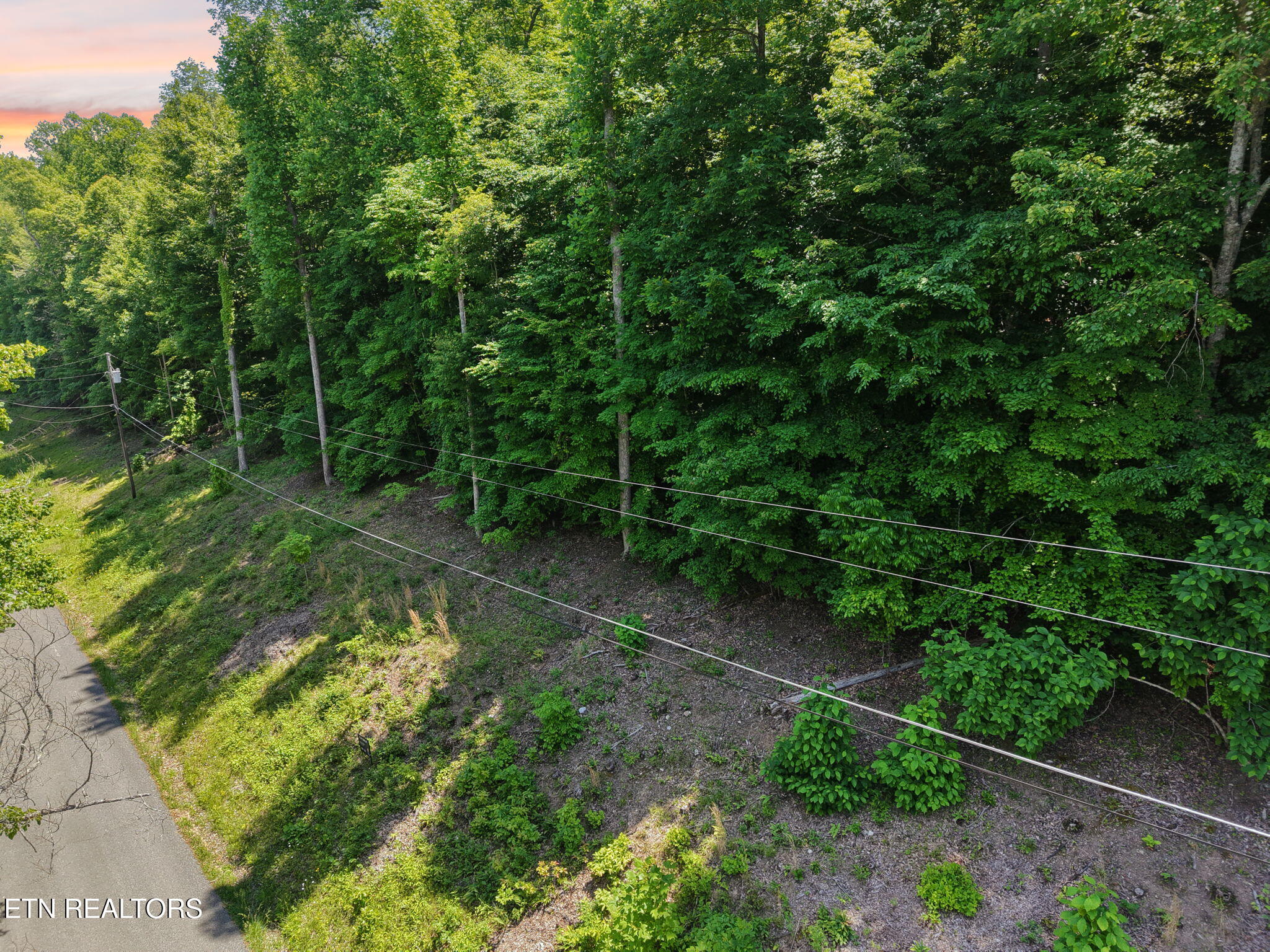 Yoakum Hollow Road Jacksboro, TN 37757 - Photo 16 of 17 2-_D copy