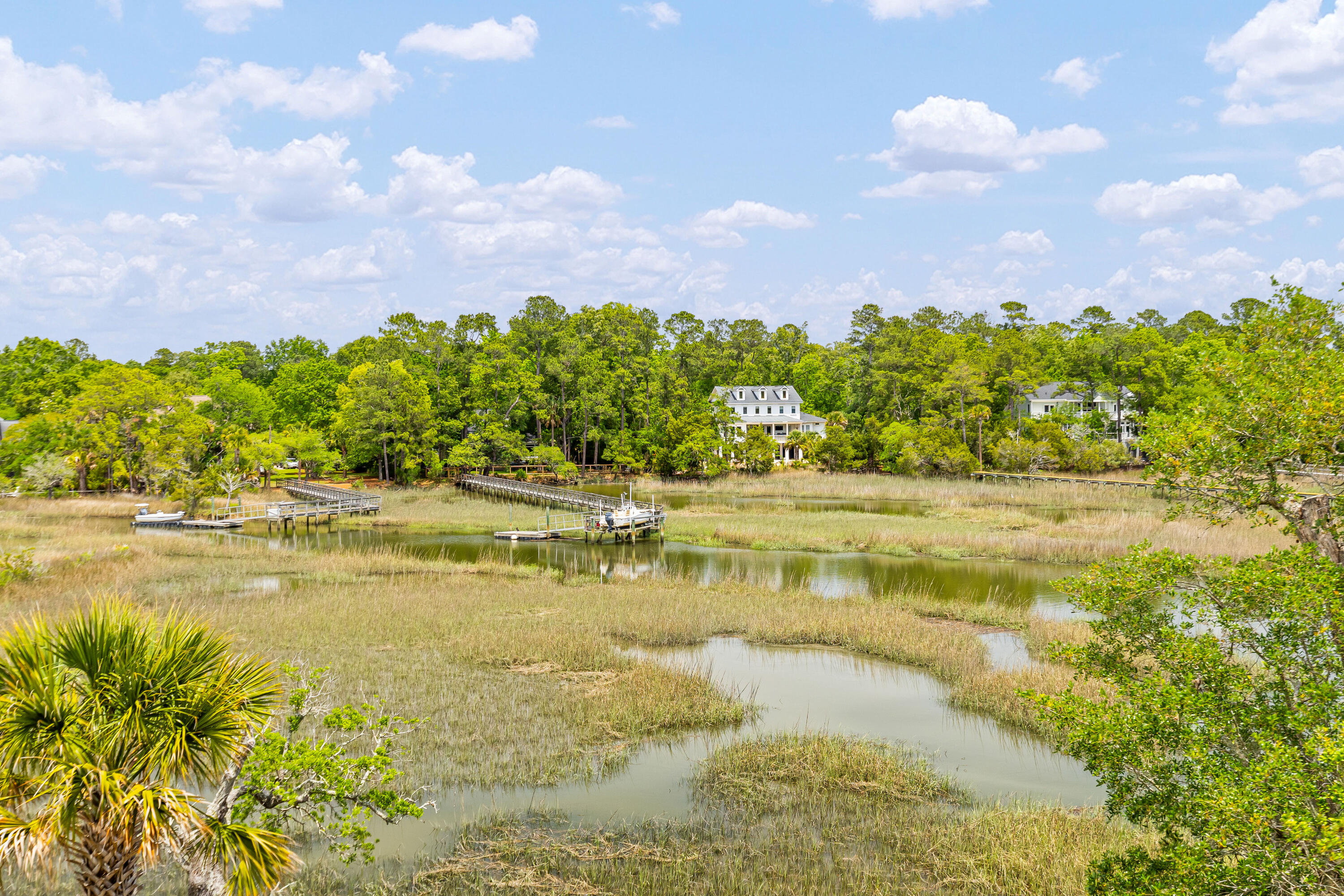 3512 Henrietta Hartford Road Mount Pleasant, SC 29466 - Photo 49 of 65