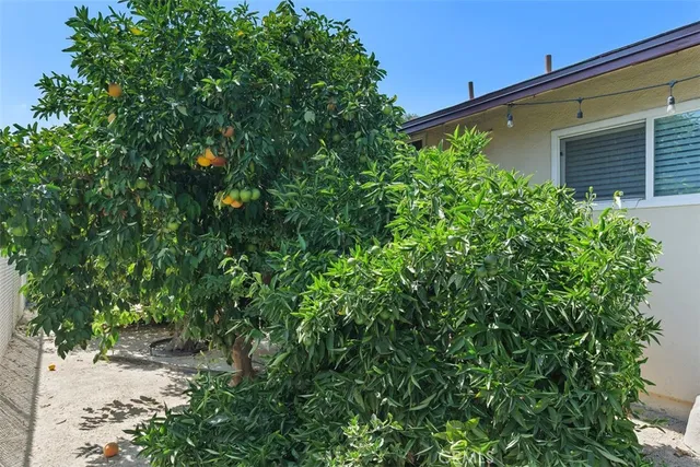 a yellow house with a yard