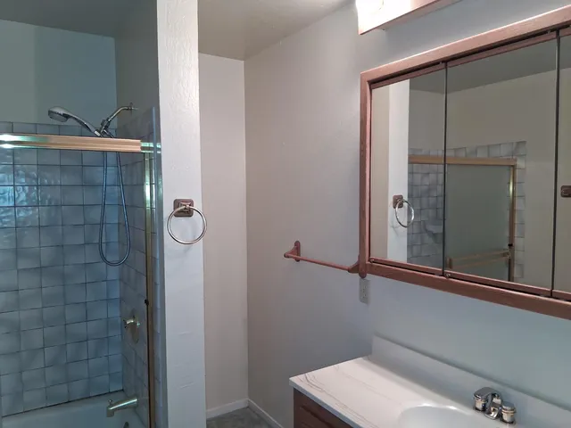 a bathroom with a sink and mirror