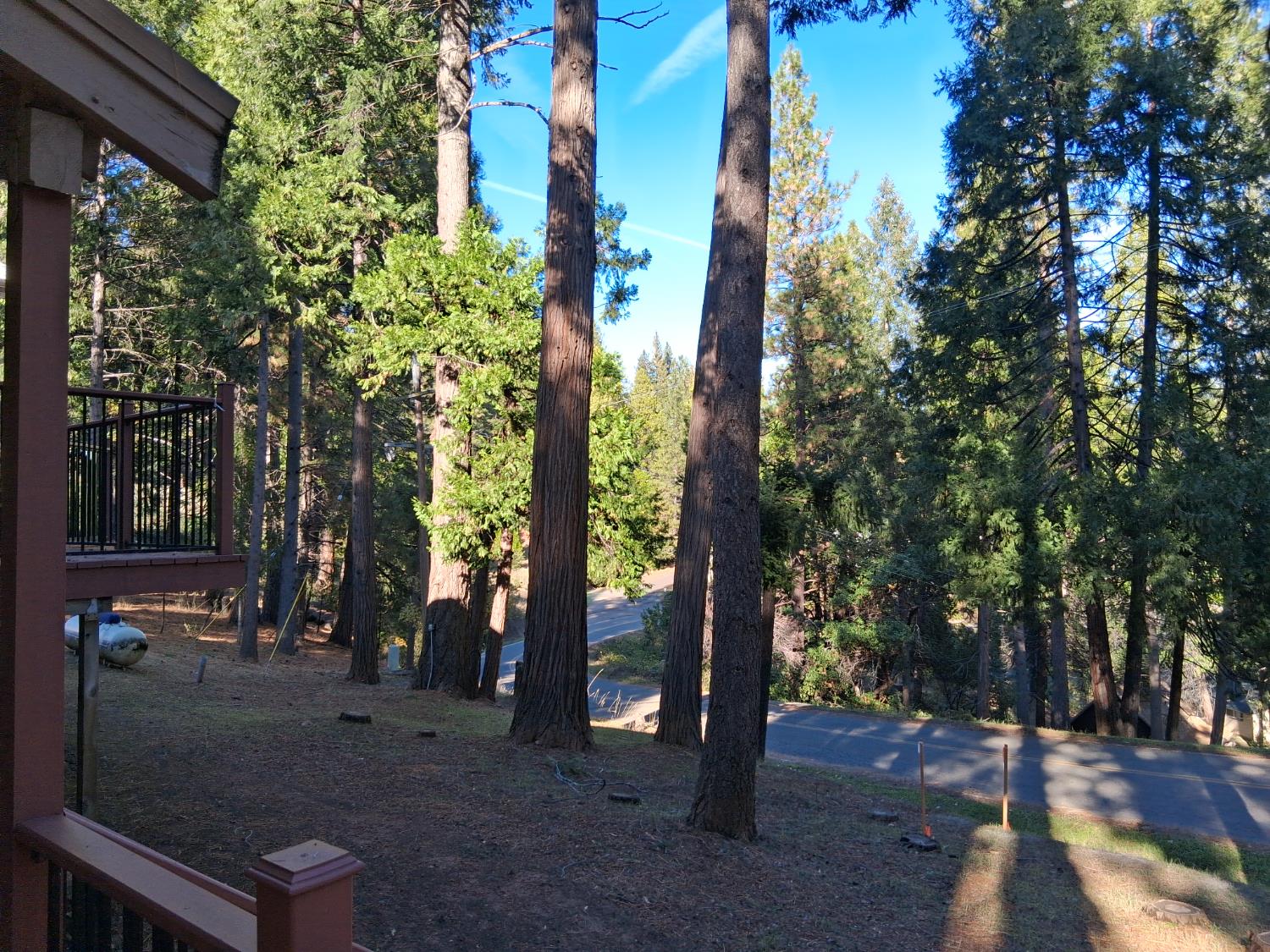 27565 Tiger Creek Road Pioneer, CA 95666 - Photo 25 of 29 a view of a yard with plants and trees