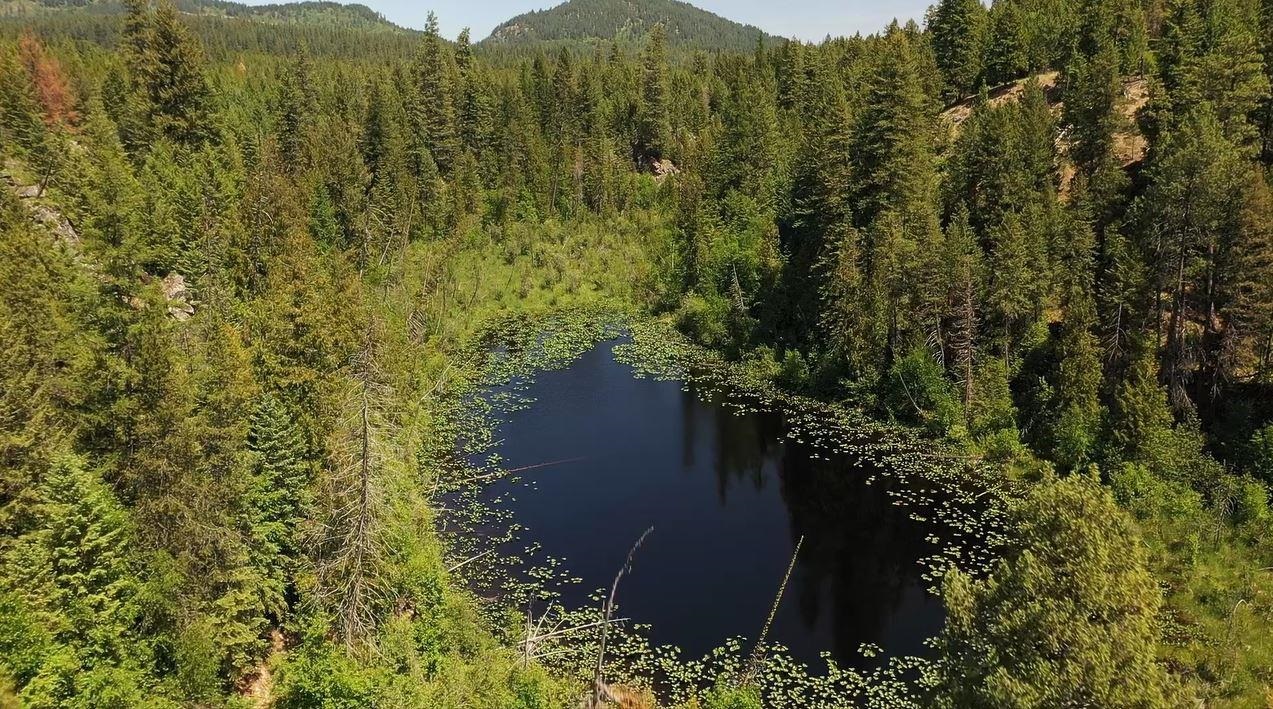 Nna Nna Undisclosed Address Elk, WA 99009 - Photo 10 of 11