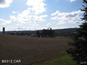 443 St Peters Road Andreas, PA 18211 - Photo 3 of 3 View