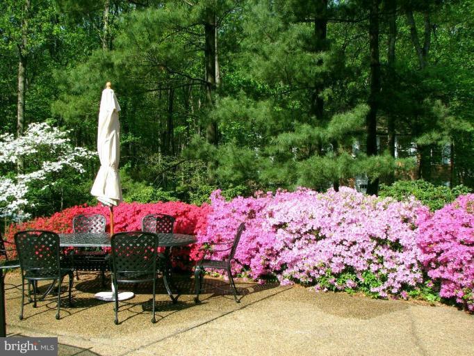 10213 Old Hunt Road Vienna, VA 22181 - Photo 18 of 25 Patio 2