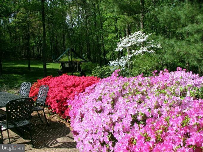 10213 Old Hunt Road Vienna, VA 22181 - Photo 21 of 25 Garden