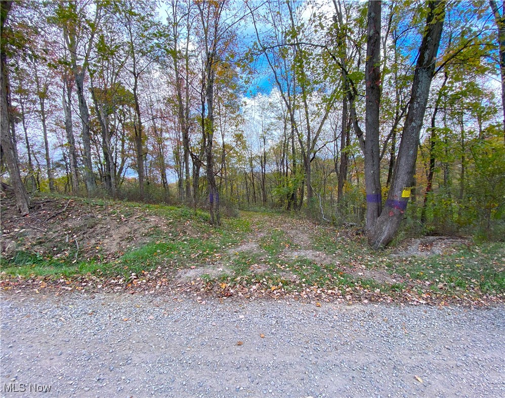 Toker Road Hopedale, OH 43976 - Photo 13 of 28 View of road
