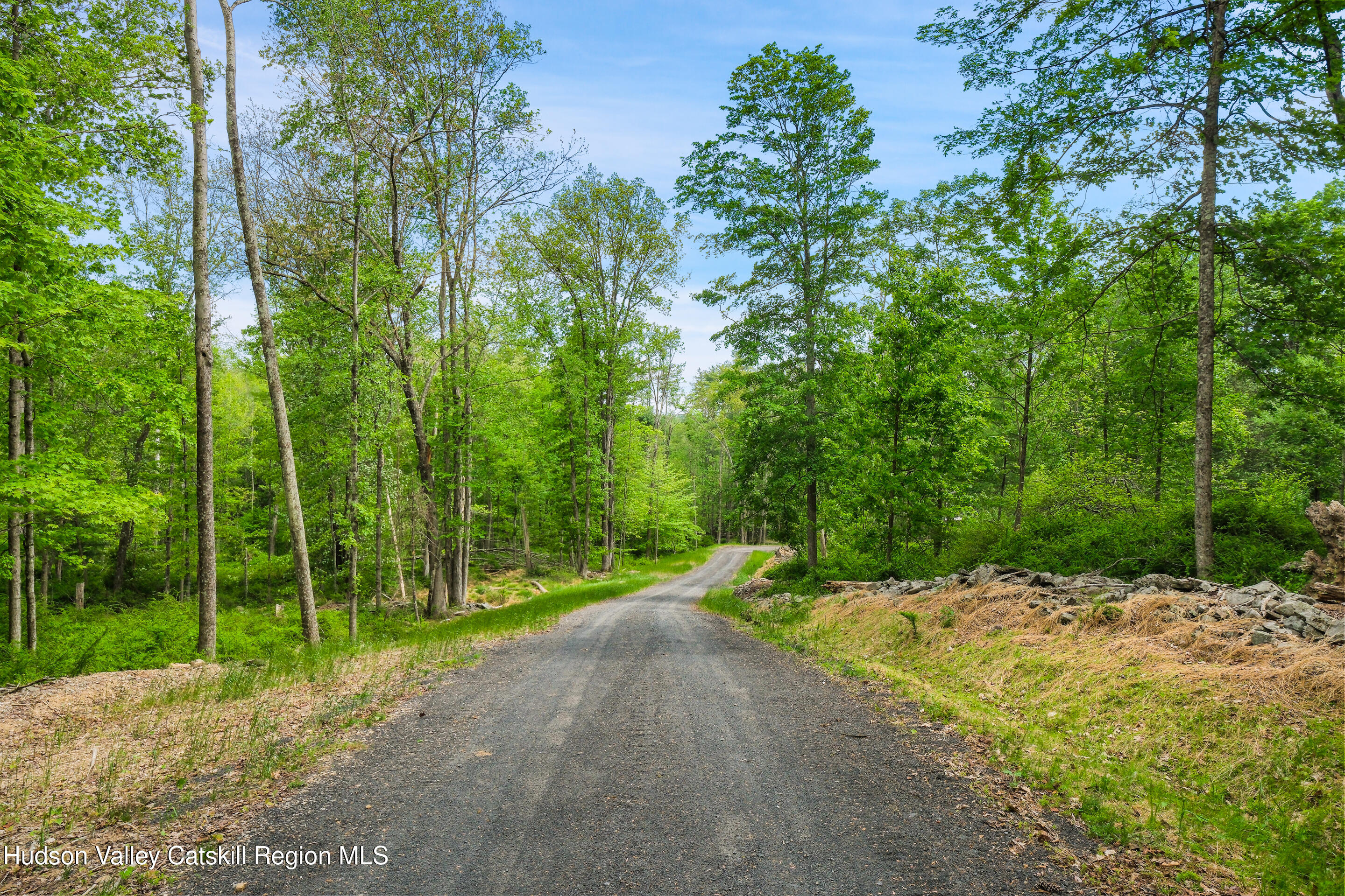 209 Beaverkill Road Kingston, NY 12401 - Photo 42 of 44 DSCF0269_1