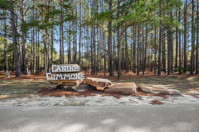 an aerial view of a house with swimming pool patio and outdoor seating