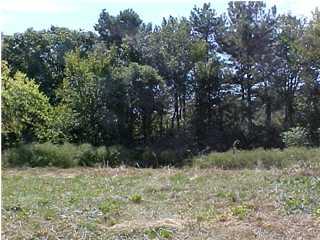 8027 Selcer Road Soddy Daisy, TN 37379 - Photo 1 of 1 Land Trees