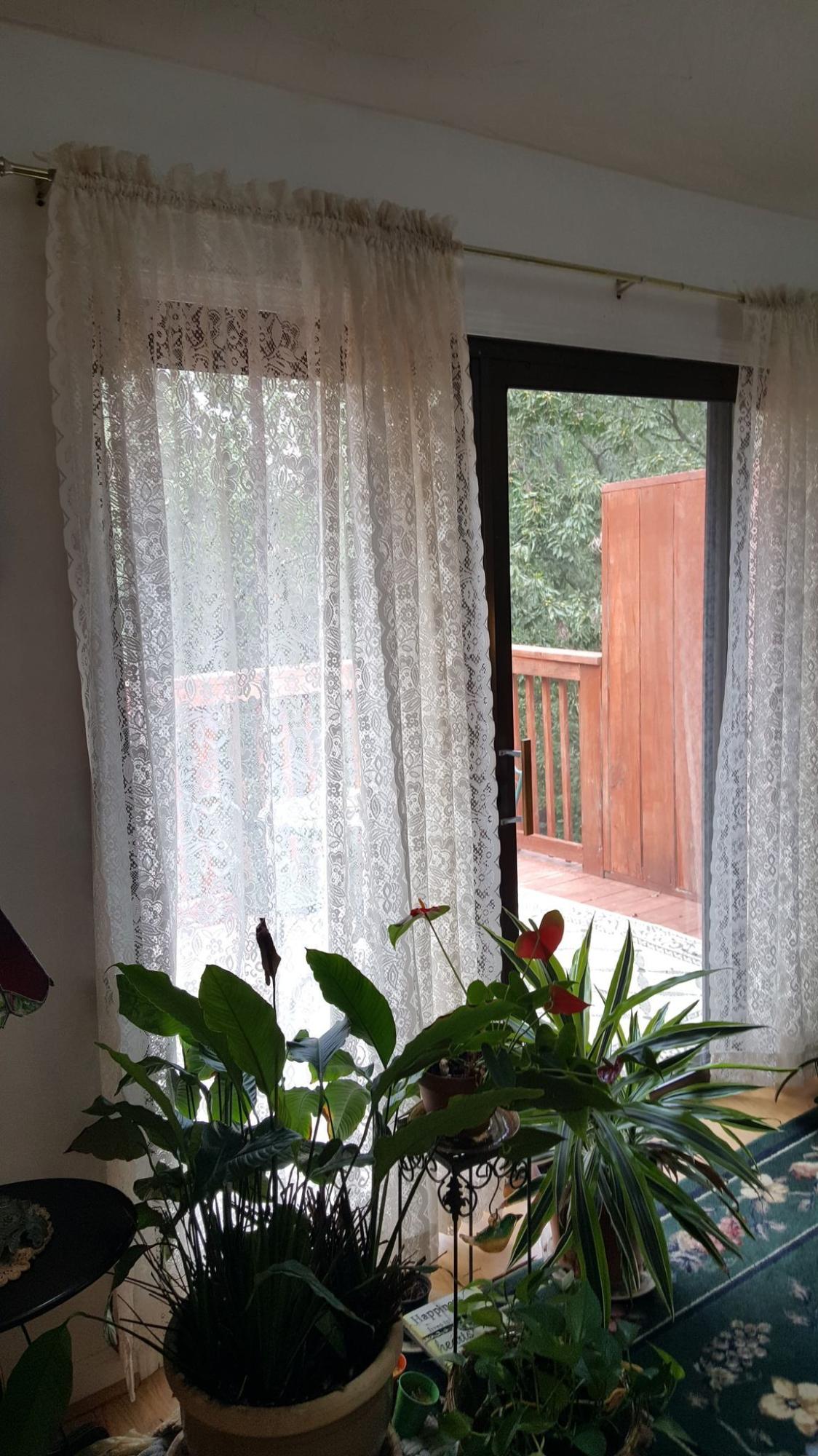 3337 Forest Ridge Road Roanoke, VA 24018 - Photo 16 of 36 a vase of flowers sitting on a table in front of a window