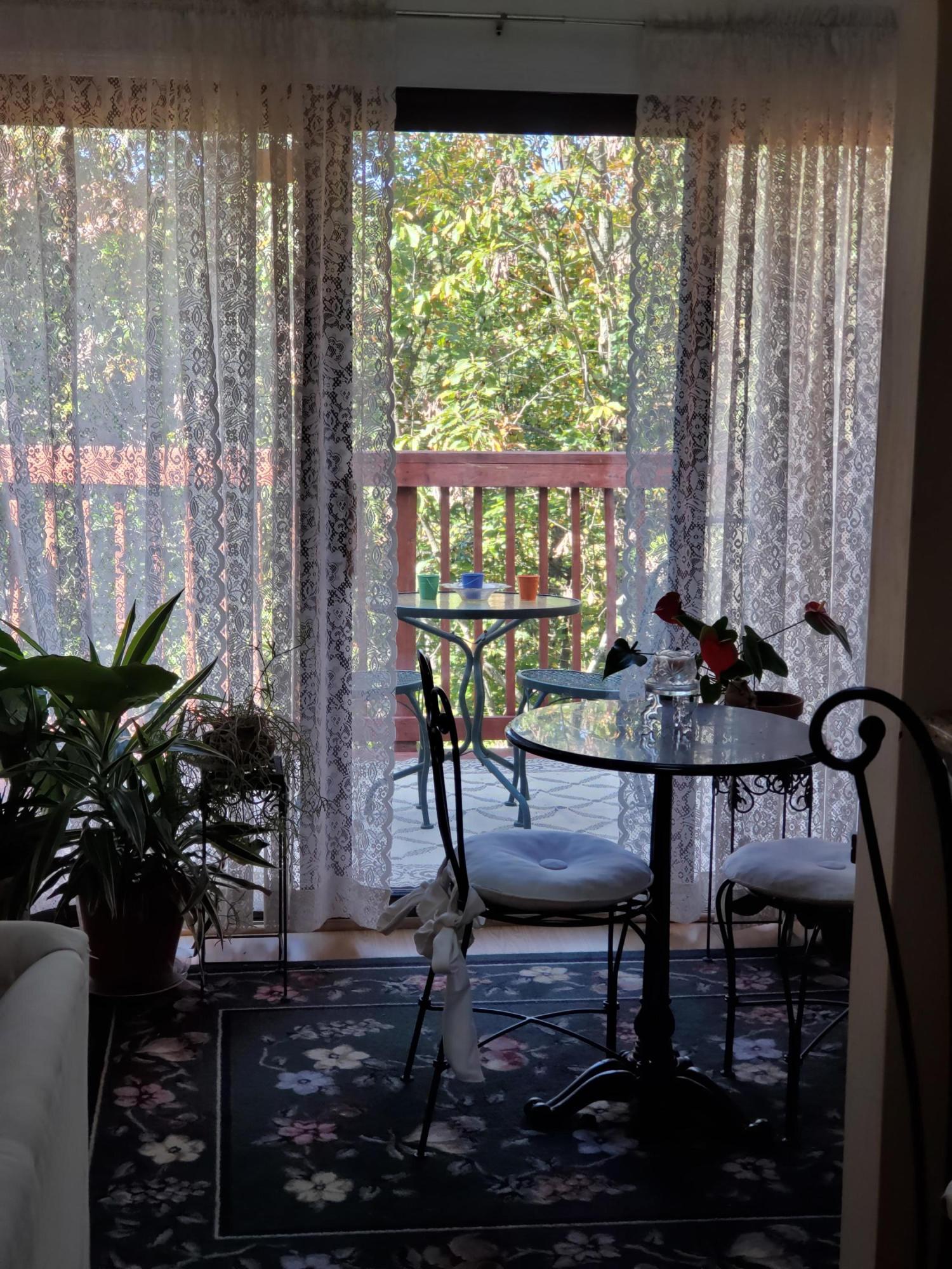 3337 Forest Ridge Road Roanoke, VA 24018 - Photo 18 of 36 a view of a room with furniture and window